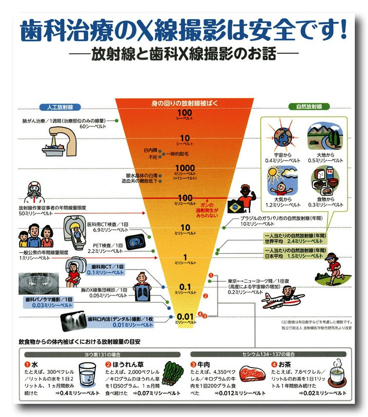 マイナス１歳からの予防歯科　No.4